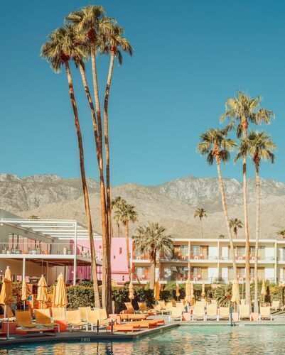 ICONIC POOL PALM SPRINGS Palm Springs Wedding Venues, Saguaro Hotel, Stars D'hollywood, Palm Springs Hotels, Southern California Wedding Venues, Urban Road, Palm Springs Wedding, Spring Trip, Bachelorette Weekend