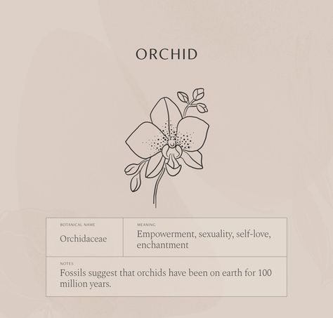 Orchid Meaning, Flora Necklace, Lavender Jewelry, Lavender Jewellery, Gardenia Flower, Orchid Tattoo, Flower Necklaces, Birth Flower Necklace, Flower Meanings