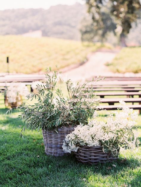 Olive Greenery Wedding, Rustic Floral Bouquet, Baskets Of Flowers Wedding, Olive Grove Wedding Ceremony, Kefalonia Wedding, Olive Grove Wedding, Sailor Wedding, Arch Florals, Olive Branch Wedding