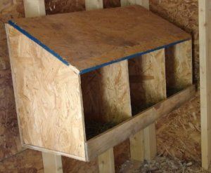 Often a roost bar or step is added in front of the box to give the hen a place to jump to before entering the nest box. Also a "lip" is added to the front of the nesting box to keep the bedding material and/or eggs from being pushed out. Build A Chicken Coop, Chicken Barn, Chicken Pen, Chicken Nesting Boxes, Chicken Coup, Nest Box, Coop Plans, Building A Chicken Coop, Chicken Coop Plans