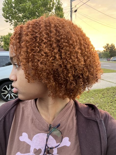 Ginger Type 4 Hair, Auburn 4c Hair, Ginger 4c Natural Hair, Ginger 4c Hair, Orange Natural Hair, Dyed 4c Hair, Blonde Brown Hair Color, Really Curly Hair, Afro Hair Care