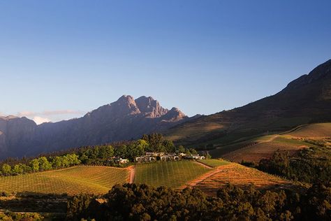 Let It Go to Your Head: A First-Timer's Guide to the Cape Wine Country South Africa Winelands, South Africa Wine, South African Wine, Maputo, South Africa Travel, Safari Lodge, Wine Travel, Conde Nast Traveler, Southern Africa