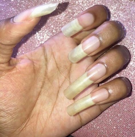 Long Fingernails Natural, Bare Nails, Long Natural Nails, Long Fingernails, Curved Nails, Nail Growth, Strong Nails, Reference Poses, Fabulous Nails