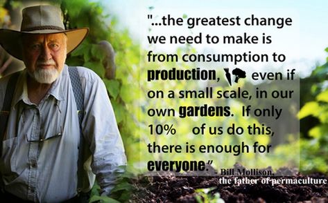 Bill Mollison: 1928-2016 (permaculture artisans forum at permies) Permaculture Quotes, Homesteading Quotes, Bill Mollison, Feedback Design, Nourishing Food, Community Gardens, Permaculture Design, Design Philosophy, Growing Food