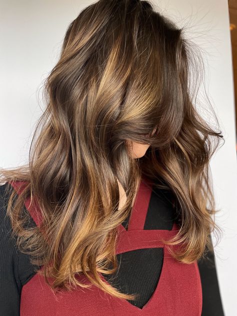 Lived in color, natural brown, warm brown hair, wella freelights, wella colortouch, toner 7/97 Lived In Color, Warm Brown Hair, Brunette Balayage, Balayage Brunette, Warm Brown, Natural Brown, Brown Hair, Balayage, Toner