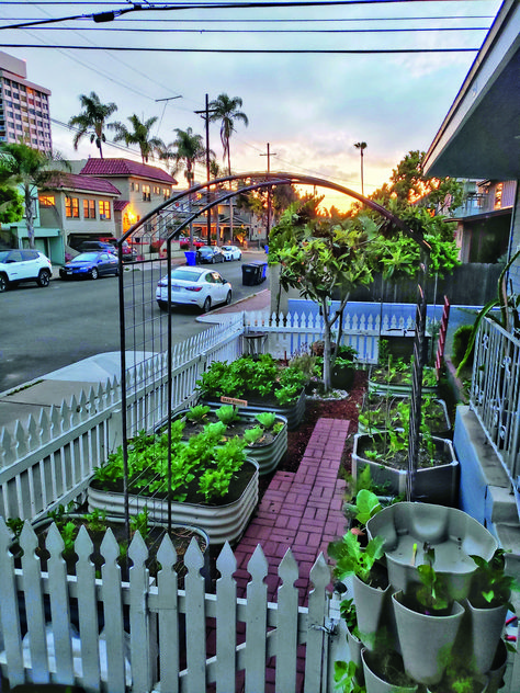 Front Yard Homestead, Front Yard Food Garden Ideas, Front Yard Garden Ideas Vegetables, Small Front Yard Vegetable Garden, Front Yard Garden Vegetable, Front Yard Food Garden, Front Yard Farm, Front Yard Veggie Garden, Front Yard Vegetable Garden Ideas