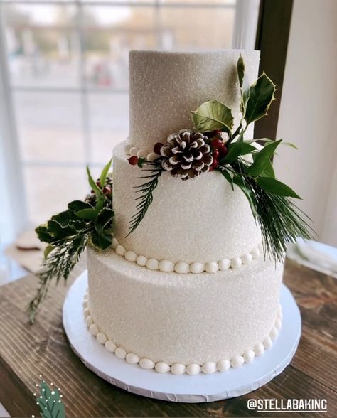 Small Christmas Wedding Cakes, December Wedding Cake Ideas, January Wedding Cake, December Wedding Cakes, Simple Winter Wedding Cake, December Wedding Cake, Xmas Wedding Cake, Wedding Cake Christmas, Winter Wedding Cake Ideas