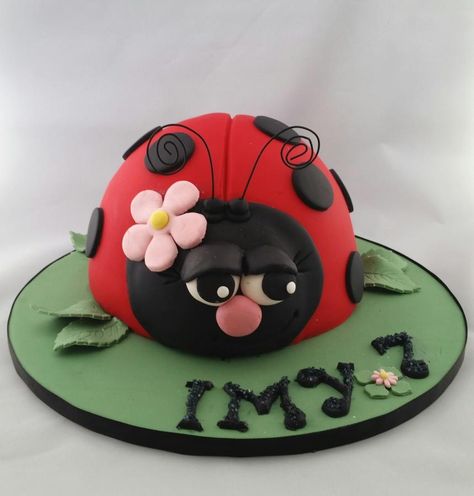 Sleepy Bug - Cake by BakedbyBeth Ladybird Cake, Ladybug Cakes, Bug Cake, Ladybug Cake, Owl Cakes, Cinderella Cake, Unique Birthday Cakes, Fondant Cake Topper, Ladybug Birthday