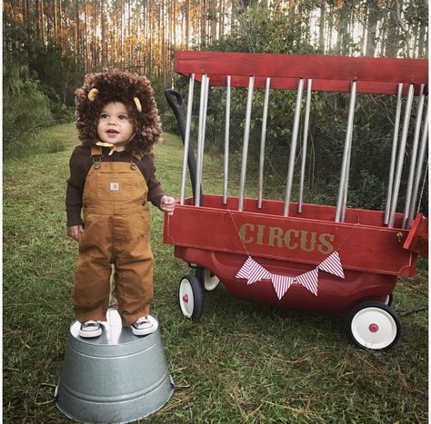 Family Lion Costumes, Baby Lion Costume Family, Diy Baby Lion Costume, Wizard Of Oz Costume Ideas Lion, Diy Lion Costume, Lion Costume Wizard Of Oz, Baby Stroller Costume, Lion Costume Diy, Baby Lion Costume