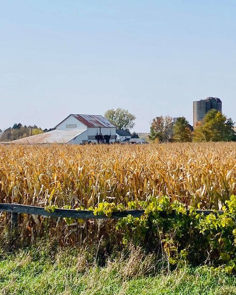 This week we’re sharing our semi rural to rural picking photos from Harvard, Illinois to Elburn, Illinois. Enjoy. 🌳🌞🍂☀️🍁🌾🌲 5/7 #resellers, #promoters, #customers, #vendor #HelpingEachOtherOut #reseller #picker #collector #crafter #Chicago #suburbs #Illinois #USA #America #vintage #retro #antiques #vintagelife #collectibles #giftideas #holidayshopping #weekend #holidays #supportsmallbusiness #smallbusiness #shopsmall #buylocal #decor #crafting #farmhouse #farm #barn #rural 1950s Rural America, Illinois Landscape, Midwest Farmhouse, Rural Illinois, Timeline Poster, America Photo, Farm Vintage, Rural America, Chicago Suburbs