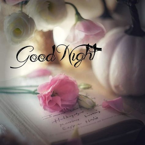 10 Beautiful Good Night Messages For 2022 Beautiful Good Night Messages, Good Night Cards, Good Night Massage, Beautiful Good Night Quotes, Good Night Beautiful, Night Beautiful, Beautiful Good Night Images, Good Night Flowers, Good Morning Flowers Quotes