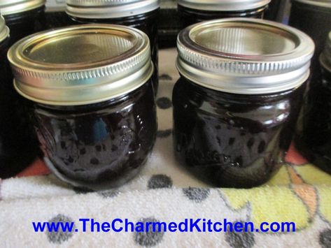 Berry Jam Recipe, Vanilla Jam, Blueberry Jelly, Ball Blue Book, Peach Preserves, Cooking Herbs, Berry Jam, Blueberry Jam, Jam And Jelly