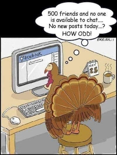 Funny Turkey Pictures, Funny Thanksgiving Pictures, Turkey Jokes, Thanksgiving Puns, Happy Thanksgiving Pictures, Thanksgiving Jokes, Thanksgiving Cartoon, Happy Thanksgiving Images, Thanksgiving Messages