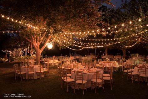 Wedding Venues Outdoor Night, Garden Wedding Night Outdoor, Wedding Outdoor Decoration Night, Rustic Outdoor Night Wedding, Summer Night Wedding, Outdoor Wedding Reception Tree Lights, Rustic Romance Wedding, Outdoor Barn Wedding, Minimal Wedding Dress