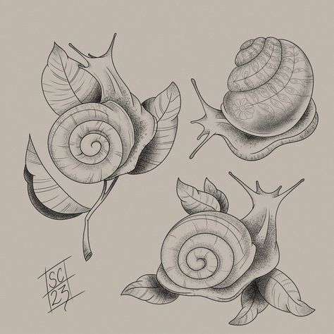 Snail Skull Tattoo, Traditional Snail Tattoo, Snail Tattoo Design, Snail Tattoos, Slug Tattoo, Eli Tattoo, Snail Tattoo, Aesthetic Sketchbook, Abstract Tattoo Ideas