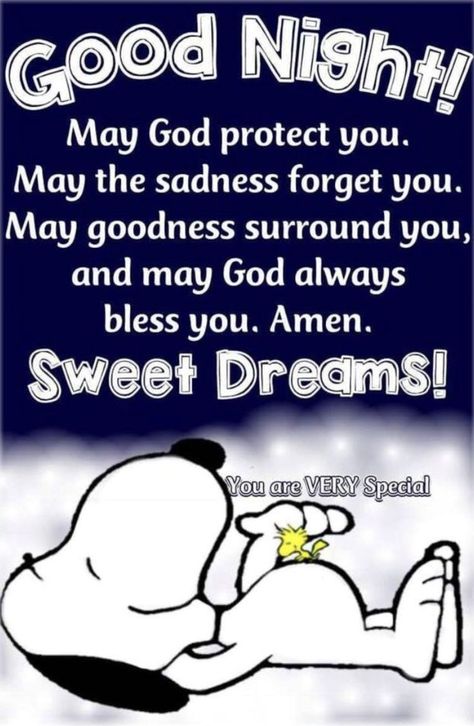 Peanuts Quotes, Charlie Brown Quotes, Snoopy Funny, Slaap Lekker, Good Night Prayer, Snoopy Quotes, Good Night Blessings, Night Messages, Good Night Greetings