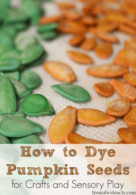 How to Dye Pumpkin Seeds for Crafts and Sensory Play - From ABCs to ACTs Pumpkin Seed Crafts, Pumpkins Preschool, Pumpkin Unit, Pumpkin Activities, Fall Preschool Activities, Halloween Preschool, Autumn Activities For Kids, Fall Preschool, Pumpkin Seed