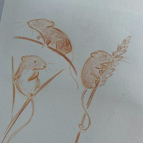 Teeny harvest mice 🌾 . #miceofinstagram #harvest #sketchbook #pencilsketching #sararhys Harvest Drawing, Mice, Thanksgiving Drawings, Harvest Mouse, Mouse Illustration, Line Sketch, Drawing Challenge, Ethereal Art, Pencil Sketch