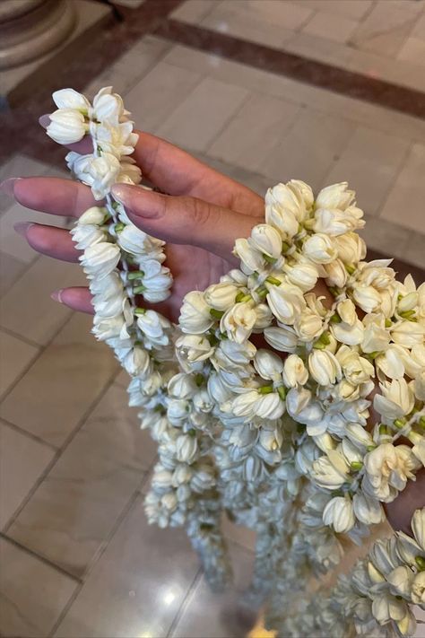 A hand holds multiple jasmine garlands. The hand is manicured and the background is marble floor. Jasmine Wedding Bouquet, South Indian Wedding Aesthetic, Indian Bouquet, Indian Jasmine Flower, Jasmine Flower Wedding, Jasmine Flower Bouquet, Jasmine Flower Aesthetic, Desi Flowers, Flower Wedding Ideas