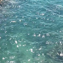 Water Aesthetic, Aesthetic Gif, Summer Dream, Blue Aesthetic, Summer Aesthetic, Wall Collage, Crystal Clear, Aesthetic Pictures, Summer Vibes