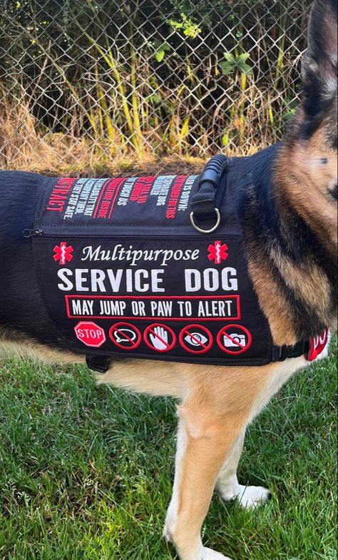 Service Dogs Gear For School, Service Dog Gear For School, Service Dog Vest Pattern, Dog Vest Pattern, Pink Service Dog Gear, Custom Service Dog Vests, Small Service Dog Vest, Service Dog Gear, Cute Service Dog Vest