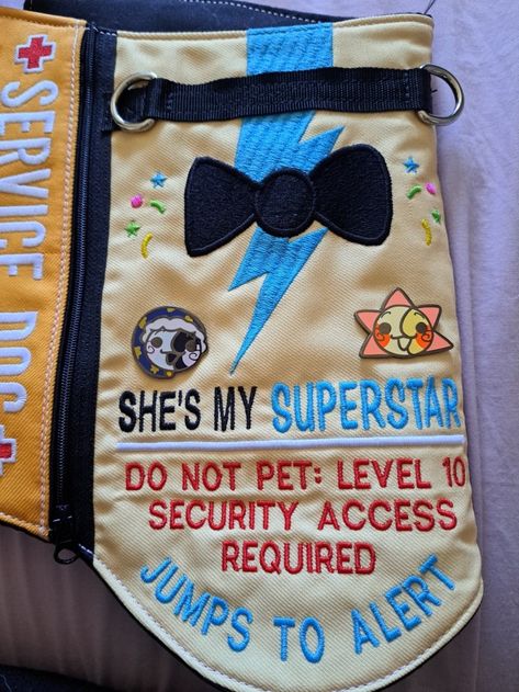 Service Dog Vest Ideas, Cute Service Dog Vest, Disabled Fashion, Service Dog Patches, Service Dogs Gear, Service Dog Vests, Emotional Support Dog, Dog Patch, Working Dog