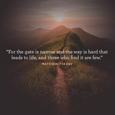 Straight Is The Gate Narrow Is The Way, Narrow Is The Way That Leads To Life, Lead The Way Quotes, Narrow Path To Heaven, Narrow Gate Bible, Bible Verses For Hard Times, Path Quotes, Path To Heaven, Mercy Seat