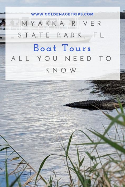 If you're looking for information about the Myakka River State Park Boat Tours you have come to the right place. Here you will find out about the differences between the old and the new boat tour, times, prices, and more. Myakka River State Park, Florida Adventures, Canada Road Trip, Usa Travel Guide, River Park, American Travel, Travel List, Florida Vacation, North America Travel