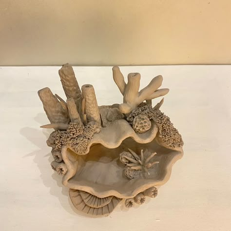 Pottery Coral Reef, Sea Life Sculpture, Coral Clay Sculpture, Sea Shell Ceramics, Under The Sea Ceramics, Sea Creature Ceramics, Sea Clay Art, Ocean Clay Ideas, Coral Ceramics