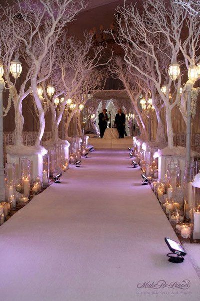 Winter Wonderland Wedding Decorations, Wonderland Wedding Decorations, Wedding Reception Ideas, Winter Wedding Decorations, Winter Wonderland Wedding, Wonderland Wedding, Tree Wedding, Winter Wedding Dress, Wedding Aisle