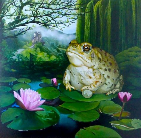 MYTH BY BRYONY BENSLY Frogs Painting, Toad Painting, Frog Watercolor, Contemporary Figurative Art, Frog Cake, Two Wolves, Visual Library, Canvas Drawings, Myths And Legends