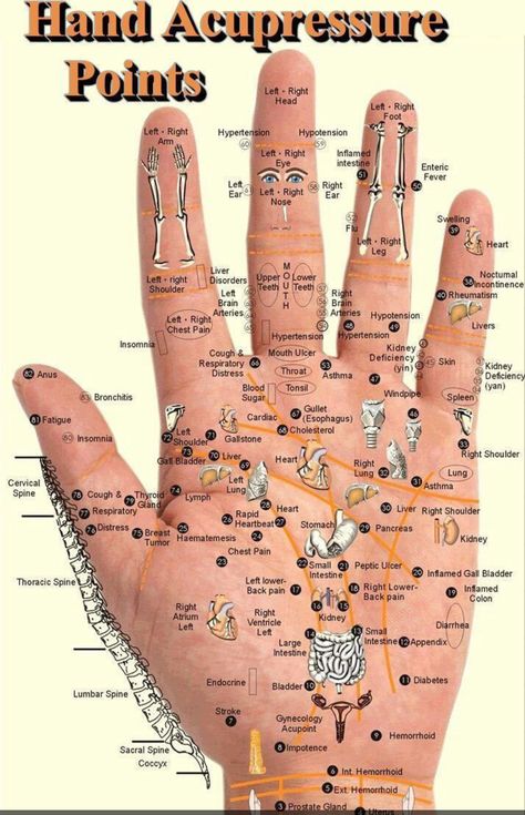 Autogenic Training, Pressure Point Therapy, Reflexology Foot Chart, Bolesti Chrbta, Point Acupuncture, Hand Reflexology, Reflexology Chart, Pressure Point, Reflexology Massage