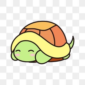 Cute Turtle Drawings, Tortoise Drawing, Pet Tortoise, Kawaii Turtle, Turtle Wallpaper, Draw Chibi, Cute Tortoise, Turtle Images, Cartoon Turtle