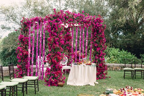 Bougainvillea Wedding, Fairchild Tropical Botanic Garden, Flower Curtain, Multicultural Wedding, Indian Wedding Cakes, Most Beautiful Gardens, Ceremony Inspiration, Floral Backdrop, Wedding Aisle