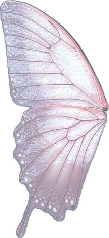 Butterfly Wing Printable, Paper Bouquet Diy, Butterfly Themed Birthday Party, Butterfly Art Drawing, Butterfly Cutout, Wings Wallpaper, Fairy Butterfly, Scrapbook Printing, Photoshop Pics