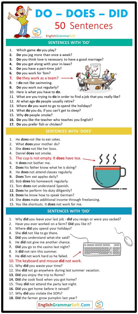 Do Does Did Sentences (50 Examples) English Conversation For Kids, Sentences Worksheet, Basic English Grammar Book, English Conversation Learning, Basic English Sentences, Sentence Examples, English Word Book, English Grammar Book, English Phrases Idioms