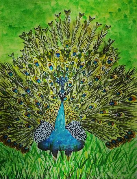 Dancing peacock - Passionate painter Buddha Portrait, Portraits Male, Dancing Peacock, Peacock Drawing, Illustration People, Peacock Painting, People Figures, Water Colours, Artist Palette