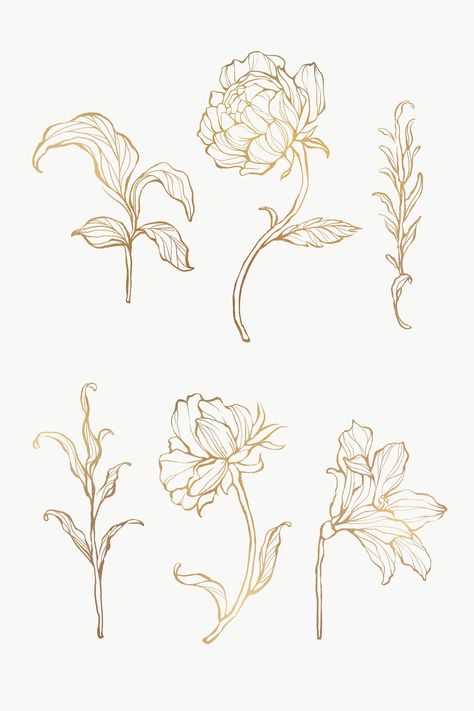 Gold Flower Drawing, Flowers Aesthetic Vintage, Flower Drawing Vintage, Vintage Flower Drawing, Botanical Outline, Vintage Botanical Drawings, Botanic Flowers, Vintage Floral Illustration, Drawing Gold