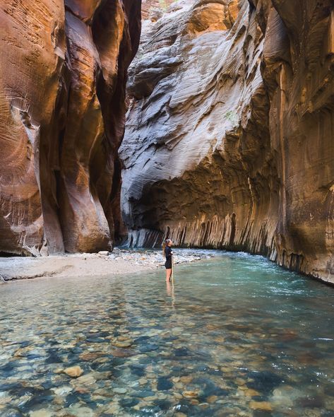 Narrowing down my Bucketlist 😜 The Narrows hike in Zion National Park is one of my favourite and most unique hikes I’ve done. Hiking through the river, below the towering canyon walls was truly an incredible experience #zionnationalpark #bucketlisthike #uniquehikes #visitutah #travelusa Zion Aesthetic, Visit Utah, The Narrows, Zion National Park, Road Trip Usa, Travel Usa, The River, My Favourite, Utah