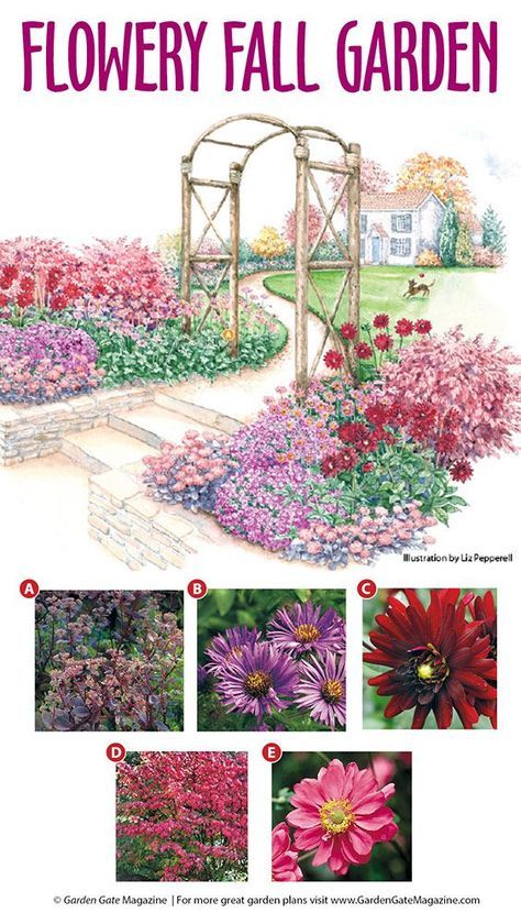 Flower Garden Plans, Flower Bed Designs, Backyard Landscaping Plans, Garden Plan, Garden Illustration, Fall Garden, Low Maintenance Garden, Flower Landscape, Garden Cottage