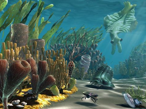 Pre Cambrian ocean Cambrian Explosion Art, Scary Sea Creatures, Cambrian Explosion, Sea Dinosaurs, Ocean Plants, Interactive Museum, Terracotta Warriors, Creatures Art, Paleo Art