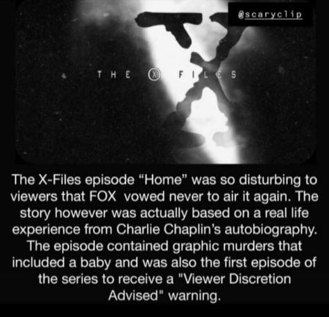 Unsettling Horror, Terrifying Facts, Scary Urban Legends, Movies On Tv, Useless Facts, Fact Republic, Ufo Art, Scary Facts, Creepy Facts