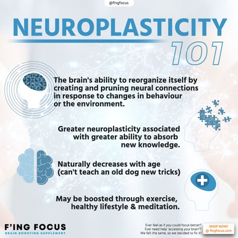 Positive Neuroplasticity, Neuro Plasticity, Brain Plasticity, Neuroplasticity Exercises, Brain Plasticity Neuroplasticity, Interpersonal Neurobiology, Neurotypical Vs Neurodivergent, Rewire Your Brain Neuroplasticity, Nerve Cells