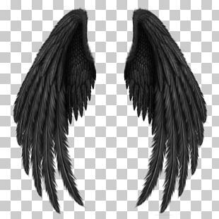 Png Tattoo, Angel Wings Png, Angel Wings Drawing, Wings Png, Wings Wallpaper, Png Images Free, Wings Drawing, Black Angel, Free Png Downloads