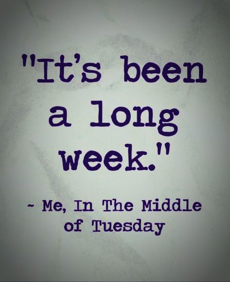 "It's been a long week." -Me, in the middle of Tuesday #WeeklyQuotes #MyThoughtsExactly #PoetryThoughtsQuotes 2023 Quotes, Quotes Ideas, About Quotes, Quotes Thoughts, Thoughts Quotes, In The Middle, The Middle, See More, Poetry