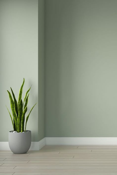 Oak Floors with Sage Wall Color Grey Floor Green Wall, Sage Wall Color, Scandi Hallway, Green Walls Living Room, Best Wall Paint, Light Green Walls, Green Wall Color, Green Painted Walls, Olive Green Walls