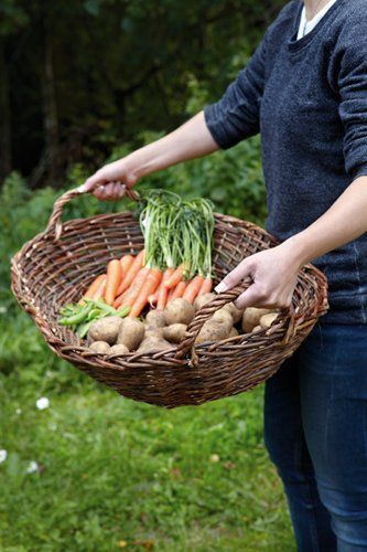 ಌ jardin potager Vegetable Harvest Basket, Harvesting Aesthetic, Garden Harvest Basket, Harvest Aesthetic, Farmer Girl, Harvest Basket, Farms Living, Down On The Farm, Hair Food