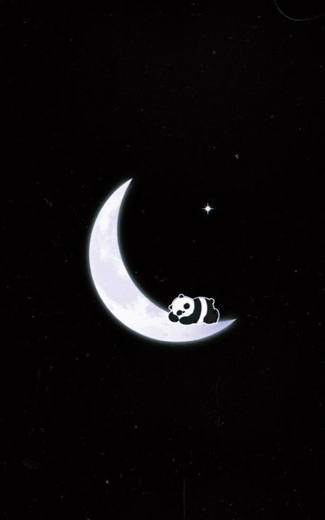 Panda Bear, The Moon, Moon, Iphone, Stars, Black