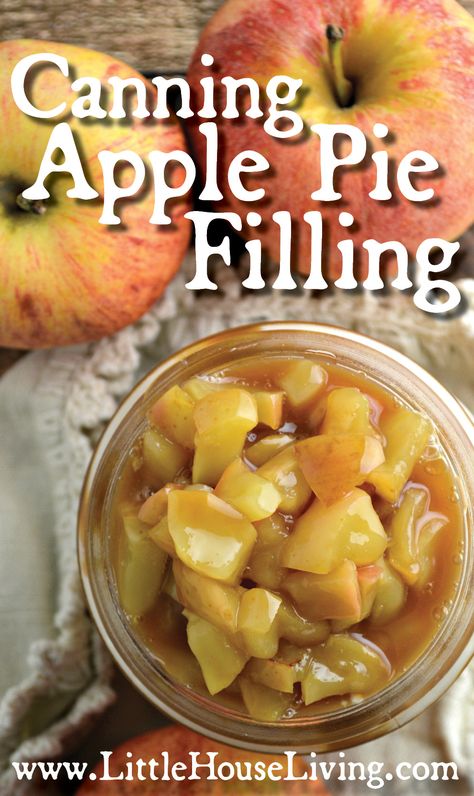 canning apple pie filling Pie Filling Desserts, Canning Apple Pie Filling, Canning Apples, Apple Pie Filling Recipes, Homemade Apple Pie Filling, Canned Apple Pie Filling, Pie Filling Recipes, Canned Apples, Apple Pie Filling