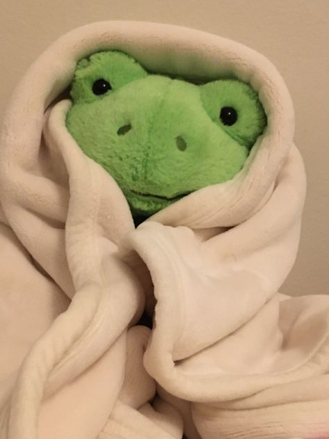 Build A Bear Frog, Build A Bear, Stuffed Animal, I Love, Green